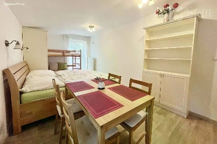 Pronájem bytu 1+kk 25 m²