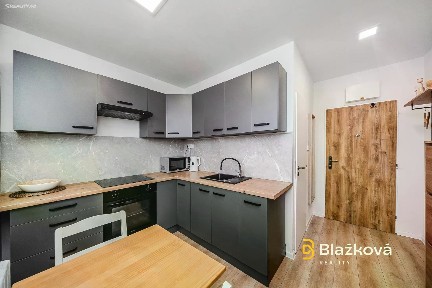 Pronájem bytu 1+1 30 m²