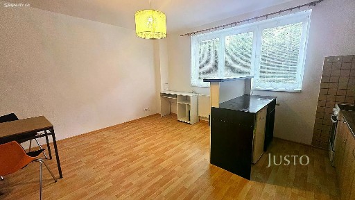 Pronájem bytu 1+kk 28 m²