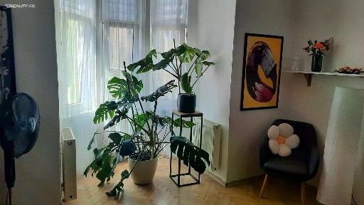 Pronájem bytu 3+kk 80 m²