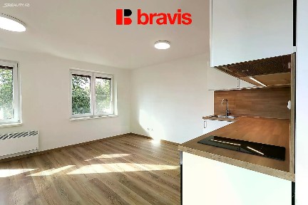 Pronájem bytu 1+kk 39 m²