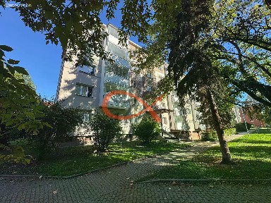 Pronájem bytu 3+1 60 m²