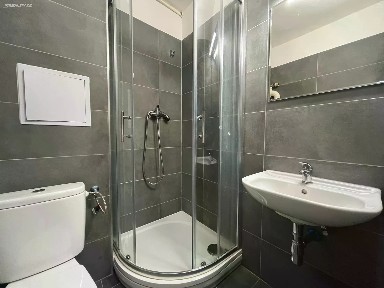 Pronájem bytu 1+1 29 m²