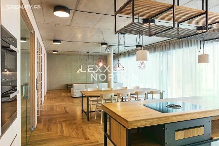 Pronájem bytu atypický 198 m²