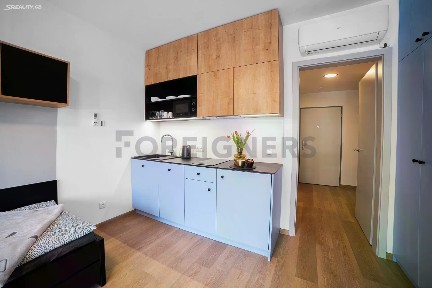 Pronájem bytu 1+kk 29 m²