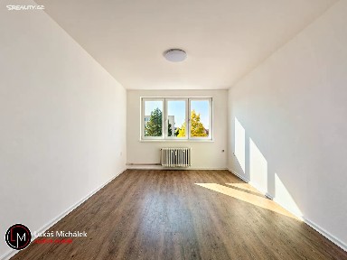 Pronájem bytu 1+1 42 m²
