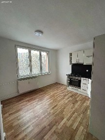 Pronájem bytu 1+1 40 m²
