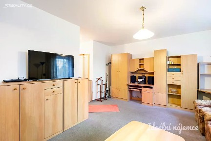 Pronájem bytu 1+1 39 m²