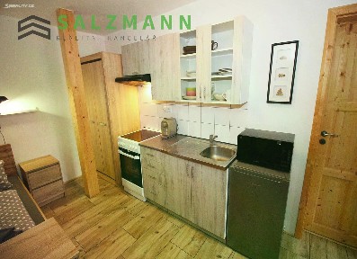 Pronájem bytu 1+kk 20 m²