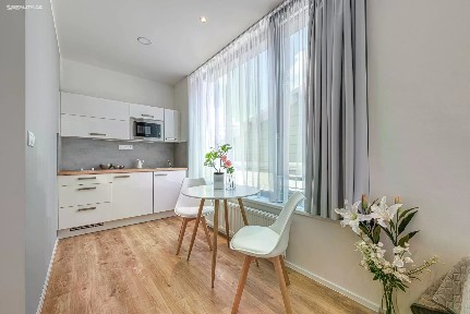 Pronájem bytu 1+kk 31 m²