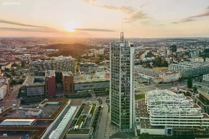Pronájem kanceláře 39 m²